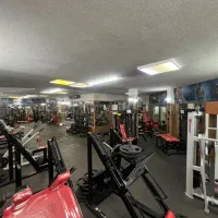 اجاره سانس به مربیان /آموزش کامل به کارآموزان/منشی