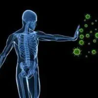 پکیج گیاهی ضد درد