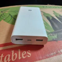 پاوربانک شیامی