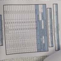 ۸۰۰ متر زمین زراعی|فروش زمین و ملک کلنگی|لاهیجان, خالو باغ|دیوار