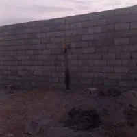 راهنمایی|فعالیت داوطلبانه|کرمان, |دیوار