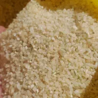 حبوبات|خوردنی و آشامیدنی|مرودشت, ژیان|دیوار