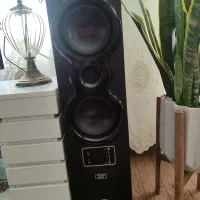 باند خونگی مارک ویکر