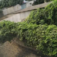 زمین خانه سرا|فروش زمین و ملک کلنگی|طبقده, |دیوار