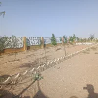 باغ 1500 متری ماریان