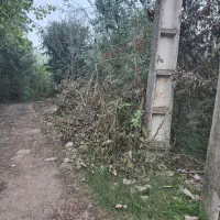 ۳ هزار متر مسکونی باغی (شهر باران حمید فلاح) 369|فروش زمین و ملک کلنگی|لشت نشا, |دیوار