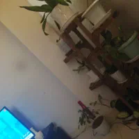 املاک|اجارهٔ آپارتمان|شاهین‌شهر, طالقانی|دیوار