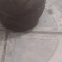 پیکنیک سالم بدون گاز