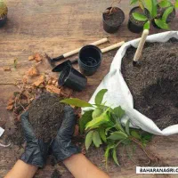 گلدان تقویت خاک جهت گل مناسب برای باغچه ای کود رشد