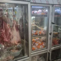 کار جهت پروتیین