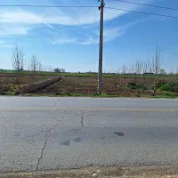 زمین کشاورزی قلعه نو چال طرخان