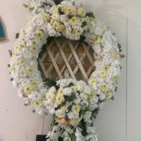 تاج گل|گل و گیاه طبیعی|صدرا-فارس, فاز ۱|دیوار