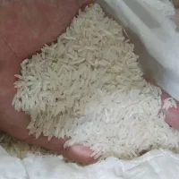 برنج طارم دم سیاه اعلا