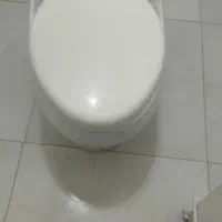 یک عدد توالت فرنگی