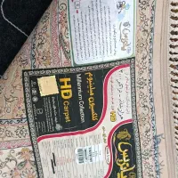 دو عدد فرش 6متری|فرش|درگهان, |دیوار