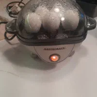 تخم مرغ پز گاستروبک المان