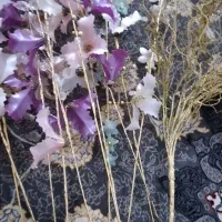 گل های زیبا و فرشته های خاص