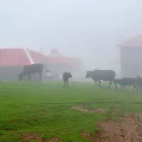 منزل روستایی همراه با کوه‌چره