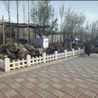 موزاییک کف|مصالح و تجهیزات ساختمان|هشتگرد, شهرک وحدت|دیوار