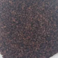 فروش کشمش انگور عسکری