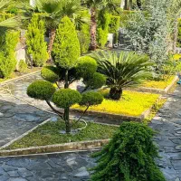 تهاتر-ویلا-دوبلکس