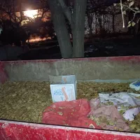 تریلی چهار چرخ سالم|قطعات یدکی و لوازم جانبی|سردرود, |دیوار