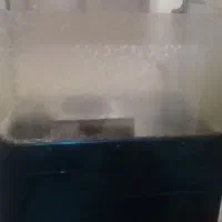 فر پیتزا،کباب پز تابشی،میز صندلی|کافیشاپ و رستوران|هشتگرد, شهرک دانش|دیوار