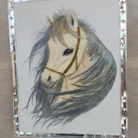 تابلوهای برجسته|تابلو، نقاشی، عکس|برازجان, |دیوار
