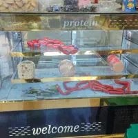 یخچال ویترینی