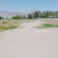 زمین فروشی در رودان