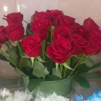 پرستار خانم