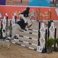 اسب دوسر خارجی پرشی|اسب و تجهیزات اسب‌سواری|باقرشهر, |دیوار