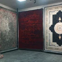 تنوع فراوان