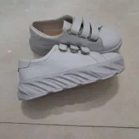 کتونی نونو سایز۳۷|کیف، کفش، کمربند|قم, هفت تیر|دیوار