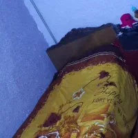 فرش ۱۲ متری و تخت تک نفره|فرش|اردبیل, |دیوار