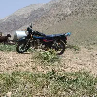 موتر