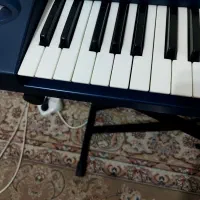 kore p800|پیانو، کیبورد، آکاردئون|مبارکه, |دیوار