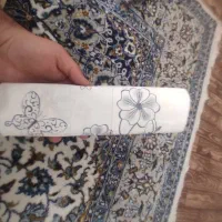 پخش سفره یکبار مواد 1 ضخیم پرفراژ بهداشتی .شیک|ظروف نگهدارنده، پلاستیکی، یکبارمصرف|اردبیل, |دیوار