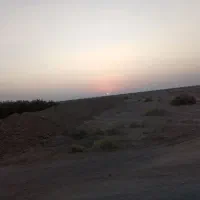 گمشده