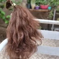 موی طبیعی رنگ نشده|آرایشی، بهداشتی، درمانی|مشهد, شهید رضوی|دیوار