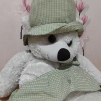 عروسک خرسی بزرگ|اسباب‌بازی بچه|مشهد, سرافرازان|دیوار