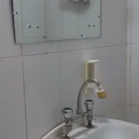 شیر شیرازی و سبز و شازده