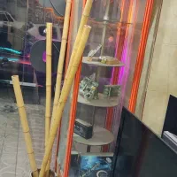 ویترین گردان چرخشی