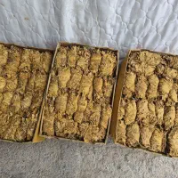 برگ زرد کاهو