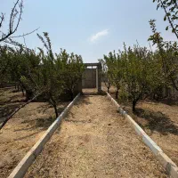 ۶۳۰ متر باغچه با سه میلیارد نقد تهاتر با آپارتمان|فروش آپارتمان|کرج, کوی مهر|دیوار