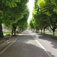 فضای کار اختصاصی و اشتراکی|اجارهٔ دفتر کار، اتاق اداری، مطب|تهران, علم و صنعت|دیوار