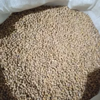 فروش نخود|خدمات باغبانی و درختکاری|بانه, |دیوار