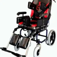 ویلچر معلولین