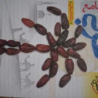 کتاب کمک درسی انسانی و فرهنگیان|کتاب و مجله ادبی|قیدار, |دیوار