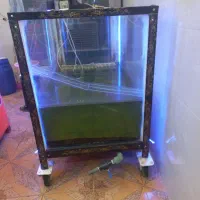 آکواریم ماهی غزل|ماهی|تیران, |دیوار